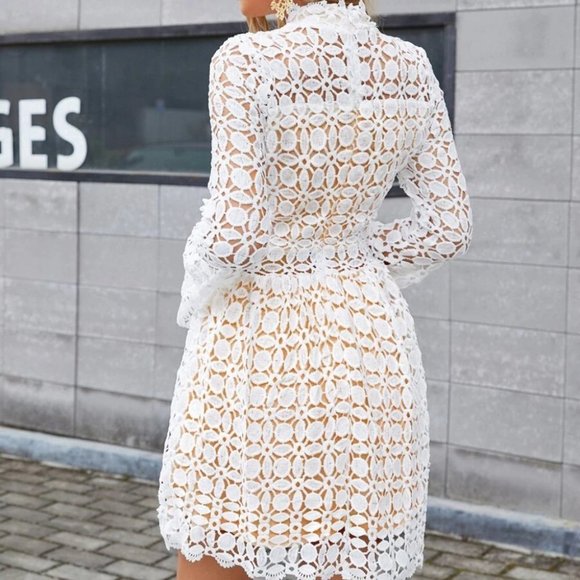 //BEST SELLER// Mesh Insert Mock Neck Flounce Sleeve Lace Dress - Picture 3 of 9